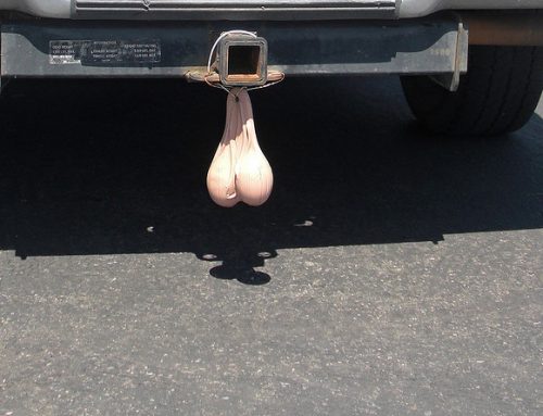 Owning Ford Ranger Proven To Increase Testicle Size